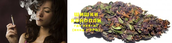 гашик Нея