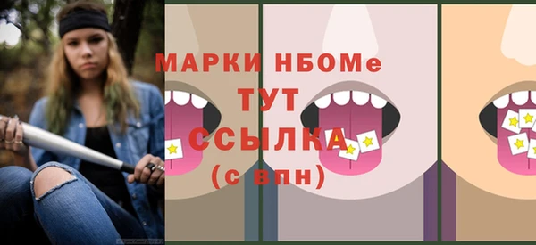 гашик Нея