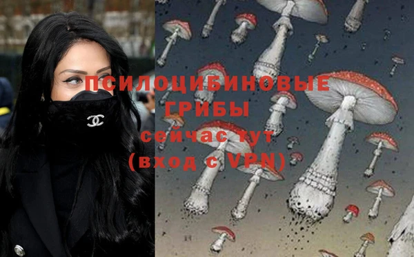 гашик Нея