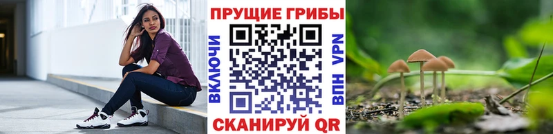 Псилоцибиновые грибы ЛСД Петров Вал